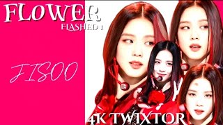 FLOWER JISOO FANCAM : 4K TWIXTOR (FLASHED)