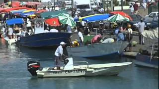 A la découverte de la Guadeloupe