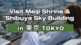 Visit Meiji Jingu and Shibuya Sky Building in Tokyo | Seika Ordermade Travel