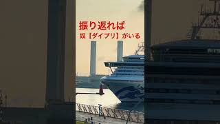 いつも最後まで見れないダイヤモンドプリンセス入港シーン💦　　#cruise ship