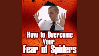 Methods for Dealing with Arachnophobia