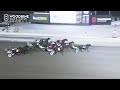 mohawk sbred february 7 2025 race 8 woodbine horse race replay