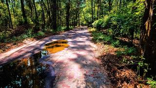 I Can’t Believe This Ghost Town Still Exists in Jacksonville FL