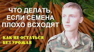 Как улучшить ВСХОЖЕСТЬ СЕМЯН на примере МОРКОВИ. Что делать, если семена ПЛОХО всходят, НЕ ВСХОДЯТ