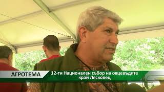 Агротема: 12-ти Национален събор на овцевъдите край Лясковец, автор: Ана Минева