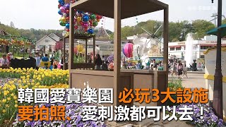 韓國愛寶樂園必玩3大設施 要拍照、愛刺激都可以去！