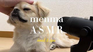 【犬のASMR】撫で撫でする音