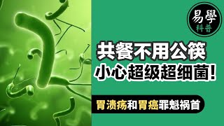 【幽门螺杆菌Helicobacter pylori】一种会感染胃部的细菌