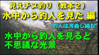 見えチヌ釣り（教本２）水中から釣人を見る光景を撮影　チヌから見える景色をイメージして釣果が上がった【前打ち／ヘチ釣り／落とし込み／河川／クロダイ／黒鯛／カニ／釣り方／テクニック】