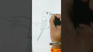 Quick simple and easy drawing with B l Parrot ❤️❤️ drawing for beginner #shorts #viral