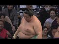 【2024 sumo finale】new faces fresh battles