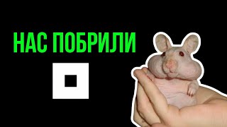 Провальный листинг NOTPIXEL! Нас побрили! Это конец? Что дальше?