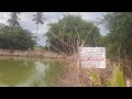 keelaiyur block palakurichi ottathattai new pond