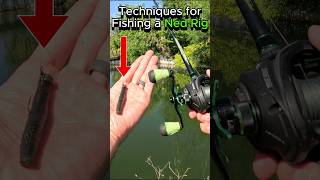Techniques for fishing a ned rig. #shorts #fishing #bassfishing