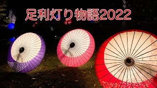 【足利市】足利灯り物語2022〜美し過ぎるライトアップに感動❗️