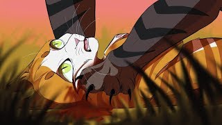 Warrior Cats 6 Katzen Mit Superkräften