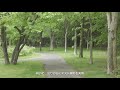 ビデオカメラ panasonic hc vx980m hdr動画モード テスト撮影 full hd