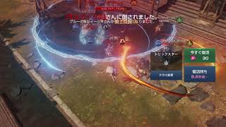 自由要塞戦【セレシン鯖】2/18 Rincoa vs ミエル