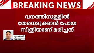 വയനാട്ടിൽ വീണ്ടും ജീവനെടുത്ത് കാട്ടാന; ആക്രമണത്തിൽ ആദിവാസി സ്ത്രീ മരിച്ചു | Animal Conflict