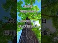 願力能力業力！ 拾穗之悅～2024年5月13日