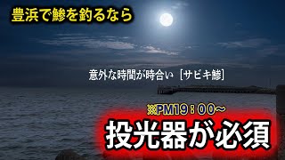 ［シロメトリック］アジ狙い。投光器or集魚灯が必須。※道具と仕掛け↓↓