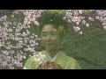 春花しぐれ 　♪夏木綾子