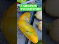 每天的快乐时光：下班后寻瓜摘菜！