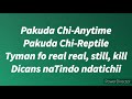 mbida d reptile gara wakabaka lyric video 2020 vaiti handikwanise album