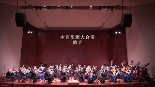 Combined Orchestra《La Paloma》中西乐团大合奏《鸽子》演奏：西雅图国乐团，美国太平洋室内乐团