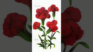 🔴 Incredible RED Carnations Easy Acrylic Painting Flowers #shorts #shortsfeed #shortsvideo #ytshorts