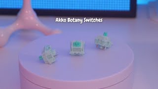 Akko Botany Switch | a closer look