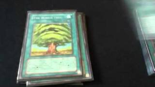 Yugioh Naturia Deck August 2011