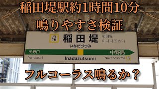 【フルコーラス鳴るか？】稲田堤駅で約1時間10分鳴りやすさ検証してみた結果 第39弾