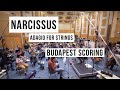 Adagio for Strings - Budapest Scoring