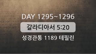 테필린 [Day 1295-1296] 갈라디아서 5:20 50번 선포