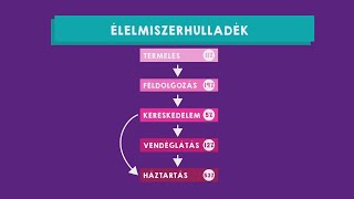 Álláspont: Mit tehetünk az élelmiszerpazarlás ellen? A Magyar Élelmiszerbank Egyesület idei tervei