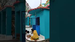 Ramanath Temple, Baideswar Vlog 15  Banki Cuttack Tour MyOdisha