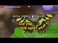 매일 30분만 투자해보세요. 영어가 바로 나옵니다 #212