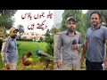 Visiting MNA Mian Muhammad Rasheed's Jammu House | Most luxury farm house in district Narowal vlog