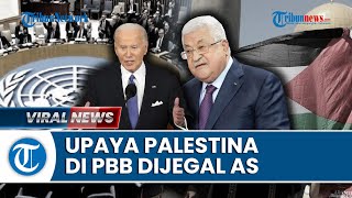 Palestina Gagal Jadi Anggota PBB Gara-gara AS, Dipuji Israel hingga Buat Geram Rusia