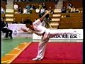 広田一成 1991年全日本武術太極拳競技大会 男子三種総合優勝【長拳】