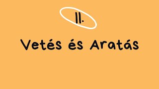 VETÉS ÉS ARATÁS - Heizer Tamás