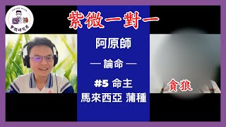 阿原師教紫微|紫微一對一|貪狼,命主 5,男,40-50歲/創業家,有小孩/馬來西亞,蒲種~呈現出紫微 斗數 一對一，最真實的論命實況。~ [紫微研究原]