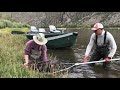 fly fishing in mongolia catching taimen adventure trip