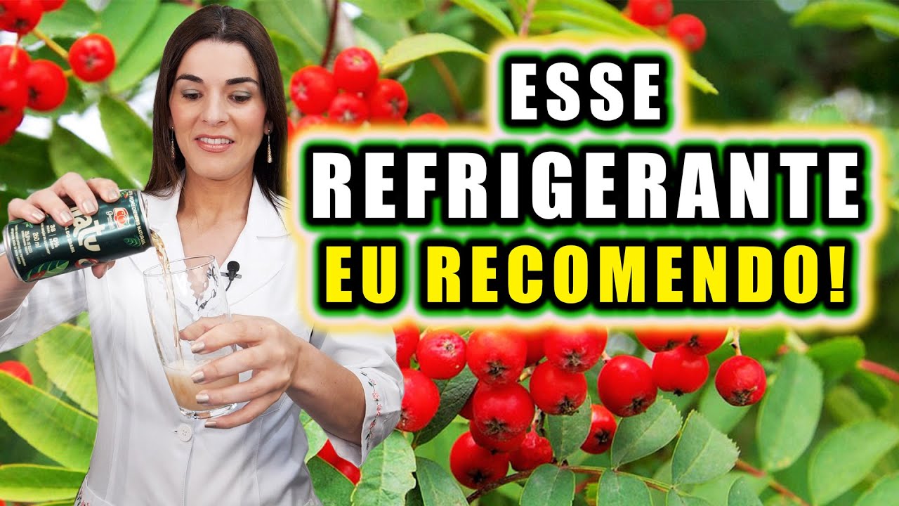 EXISTE REFRIGERANTE COM 100% DE INGREDIENTES NATURAIS ! - YouTube