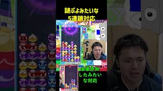 謎ぷよみたいな5連鎖対応【ぷよぷよeスポーツ】#Shorts