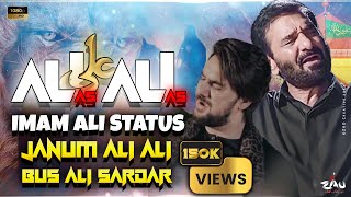 ALI ALI | Nadeem Sarwar | Farhan Ali Waris  | Janum Ali Ali & Bus Ali Sardar | Mix Nohay 2024