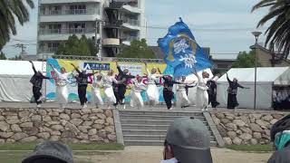 ふくのやまよさこい2017 舞龍人（中央公園）