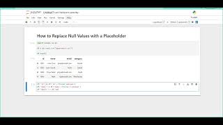 How to Replace Null Values with a Placeholder in Python
