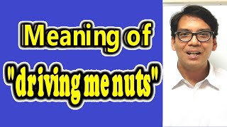 Meaning of "driving me nuts" [ ForB English Lesson ]